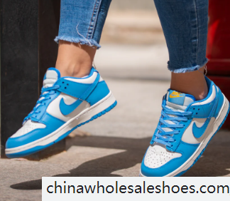 dunk low clear swoosh