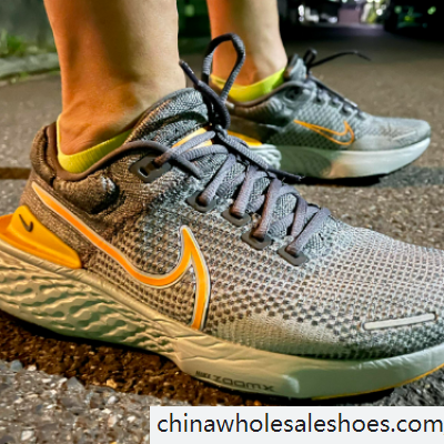 zoomx invincible run flyknit 2